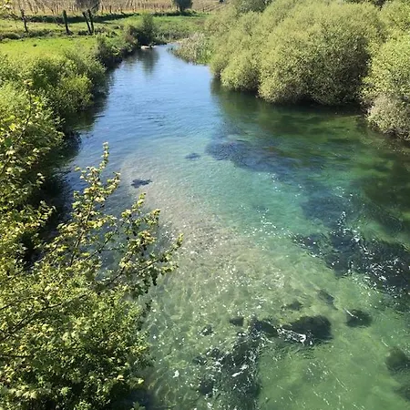 Вилла Quinta Do Cedro