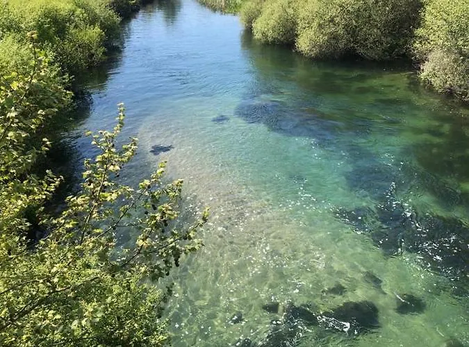 Villa Quinta Do Cedro
